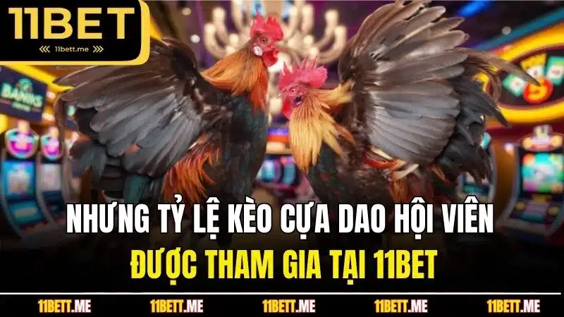 Nhưng tỷ lệ kèo cựa dao hội viên được tham gia tại 11BET